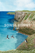Bempton Cliffs
