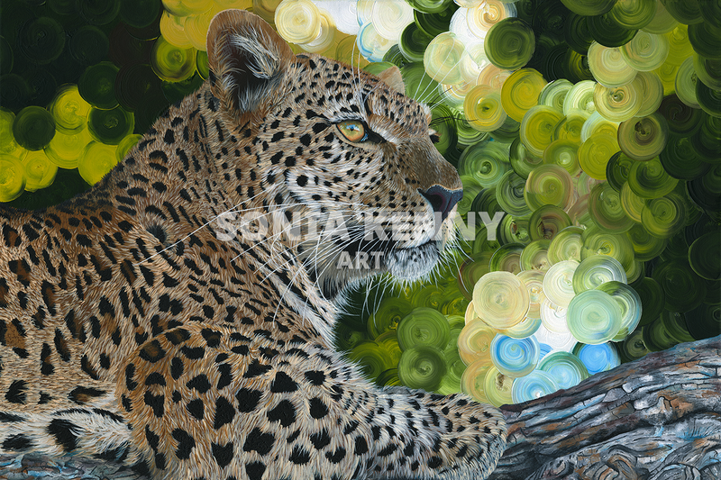 The Botswana Leopard