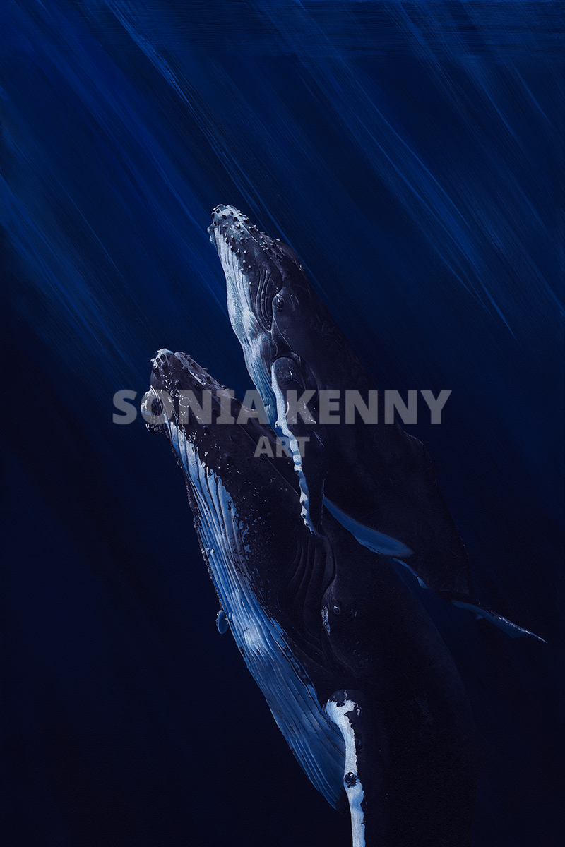 Humpback Whales