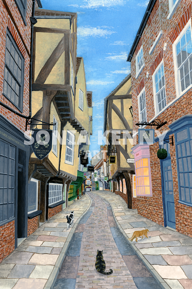 York Shambles