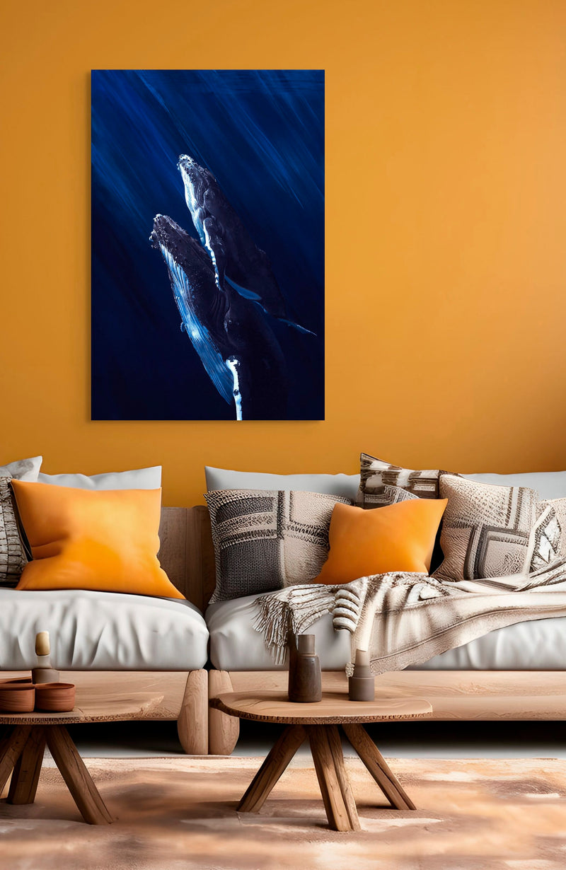 Humpback Whales
